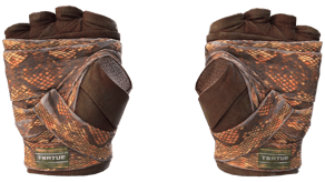 Constrictor image
