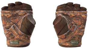 Constrictor image