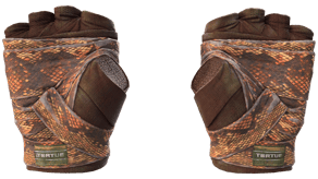 Constrictor image