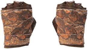 Constrictor image
