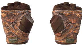 Constrictor image