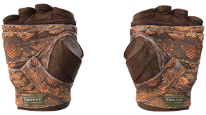 Constrictor image