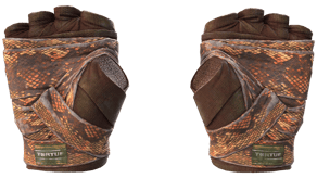 Constrictor image