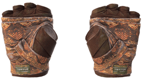 Constrictor image
