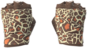 Giraffe image
