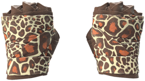Giraffe image