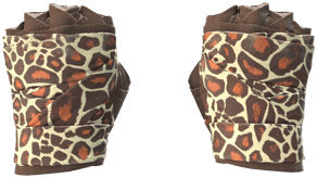 Giraffe image