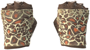 Giraffe image