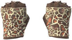 Giraffe image