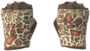 Giraffe image