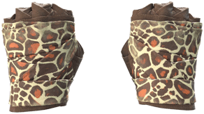 Giraffe image