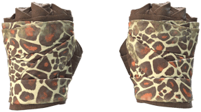 Giraffe image