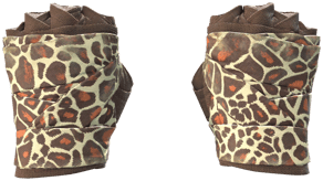 Giraffe image