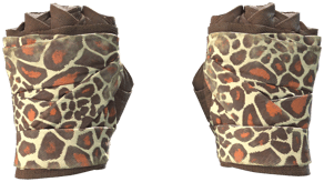 Giraffe image