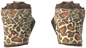 Giraffe image