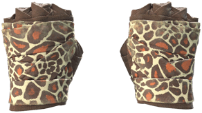 Giraffe image