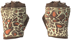 Giraffe image
