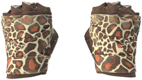 Giraffe image