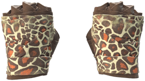 Giraffe image