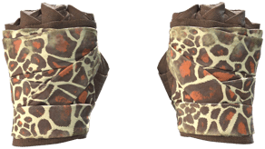 Giraffe image
