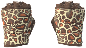 Giraffe image