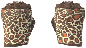 Giraffe image
