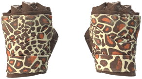 Giraffe image