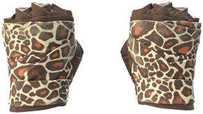 Giraffe image