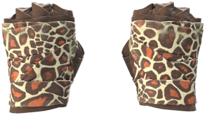 Giraffe image