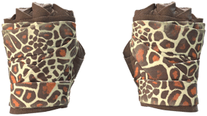 Giraffe image