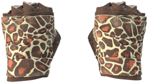 Giraffe image