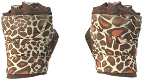 Giraffe image