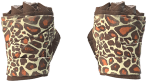 Giraffe image