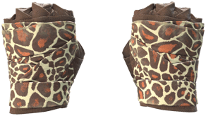 Giraffe image