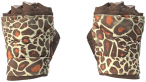 Giraffe image