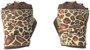 Giraffe image