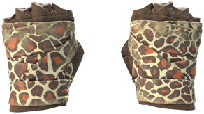 Giraffe image