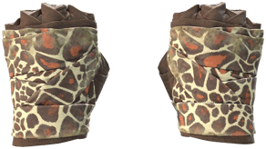 Giraffe image