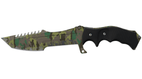 Boreal Forest image
