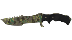 Boreal Forest image