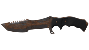 Rust Coat image