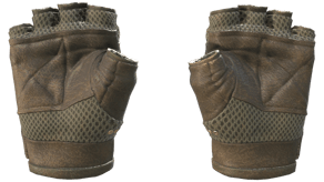 Mangrove image
