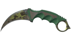 Boreal Forest image