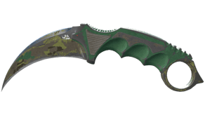 Boreal Forest image