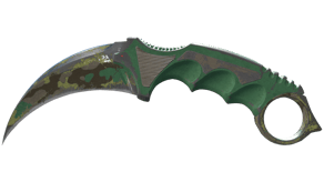 Boreal Forest image