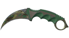 Boreal Forest image