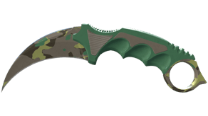 Boreal Forest image