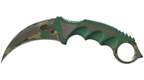 Boreal Forest image