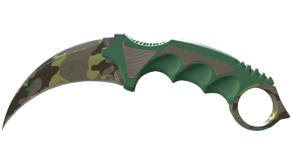 Boreal Forest image