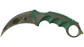 Boreal Forest image